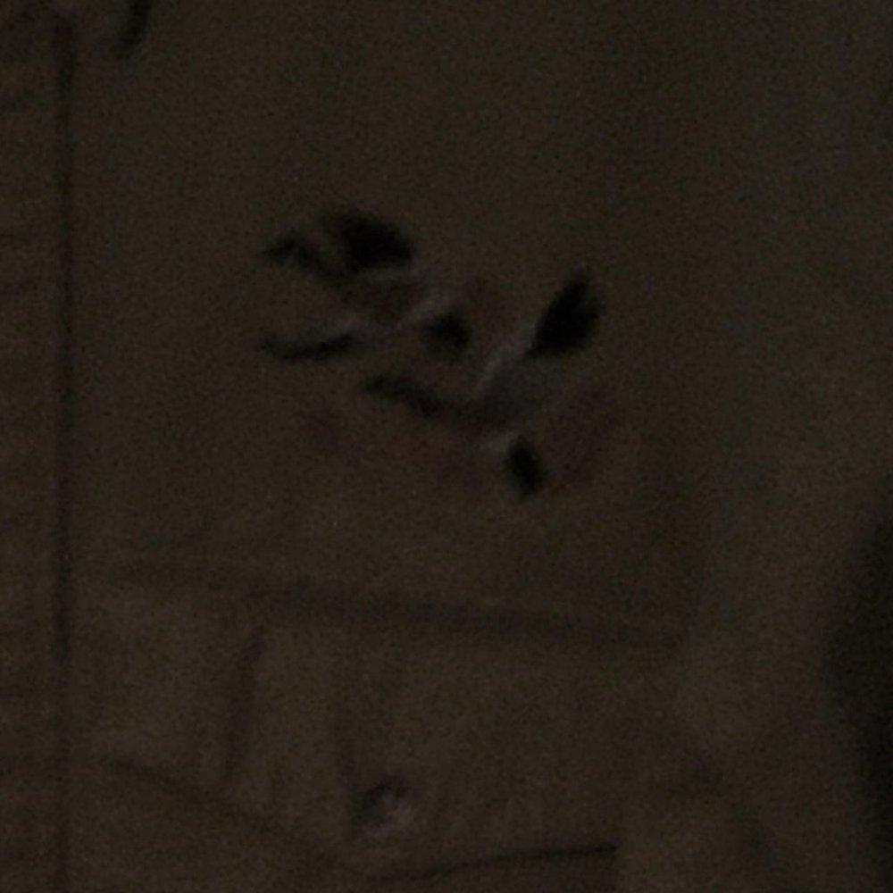 SHIRT  - WINTER RUN - Picture 2 of 4